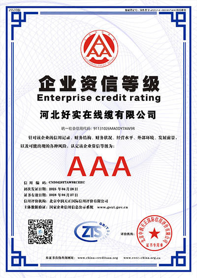 AAA Enterprise Credit Rating