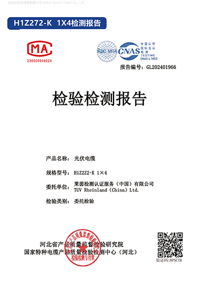 Inspection and testing report