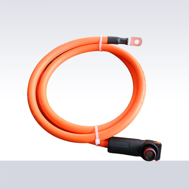 New Energy EV Wiring 25 mm²